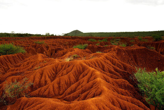 فرسایش خاک چیست؟ اثرات فرسایش خاک و تخریب زمین