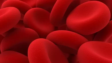 آنچه در مورد کم خونی باید بدانید