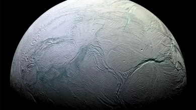 جستجوی حیات در قمر یخی زحل | انسلادوس
