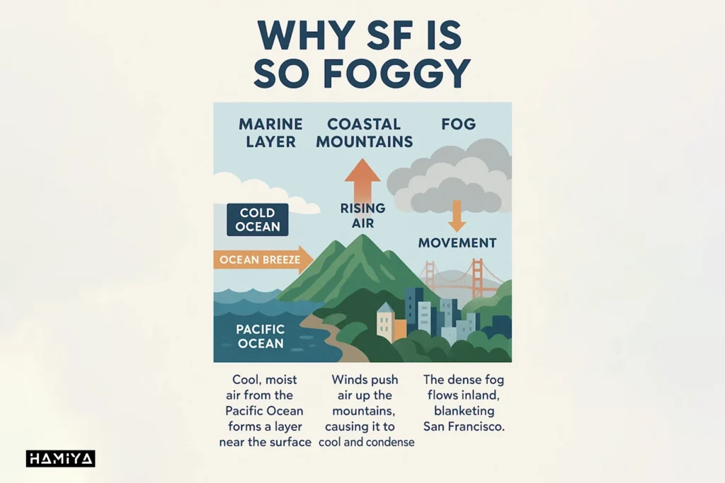 Weather infographic in gpt 4o image generator