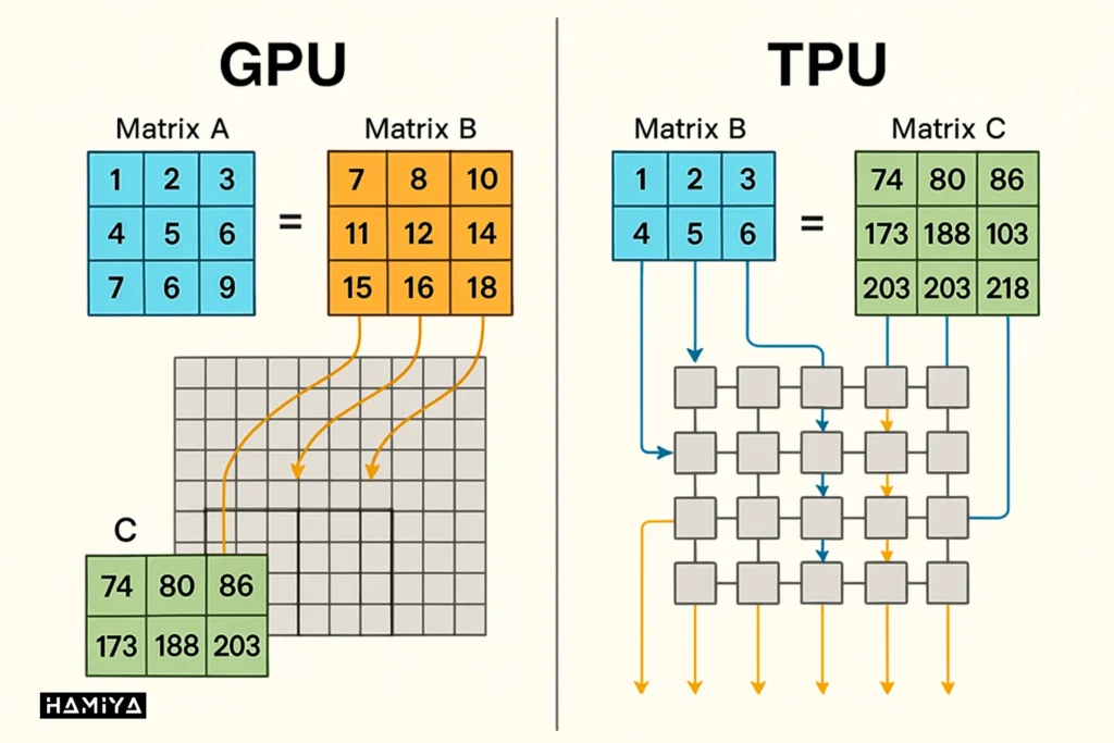 Architecture of GPU and TPU