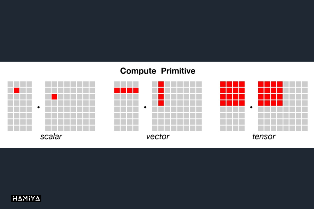 scalar, vector, and tensor in TPU
